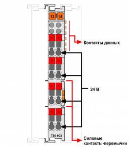 750-603 Распределение потенциалов; 8-канальный, 24 В
