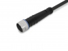 756-5101/030-100 Кабель датчика / исполнительного устройства; устанавливаются на один конец (со свободным концом); 3-пол.; Розетка M8, прямая; один свободный конец кабеля; 10 м